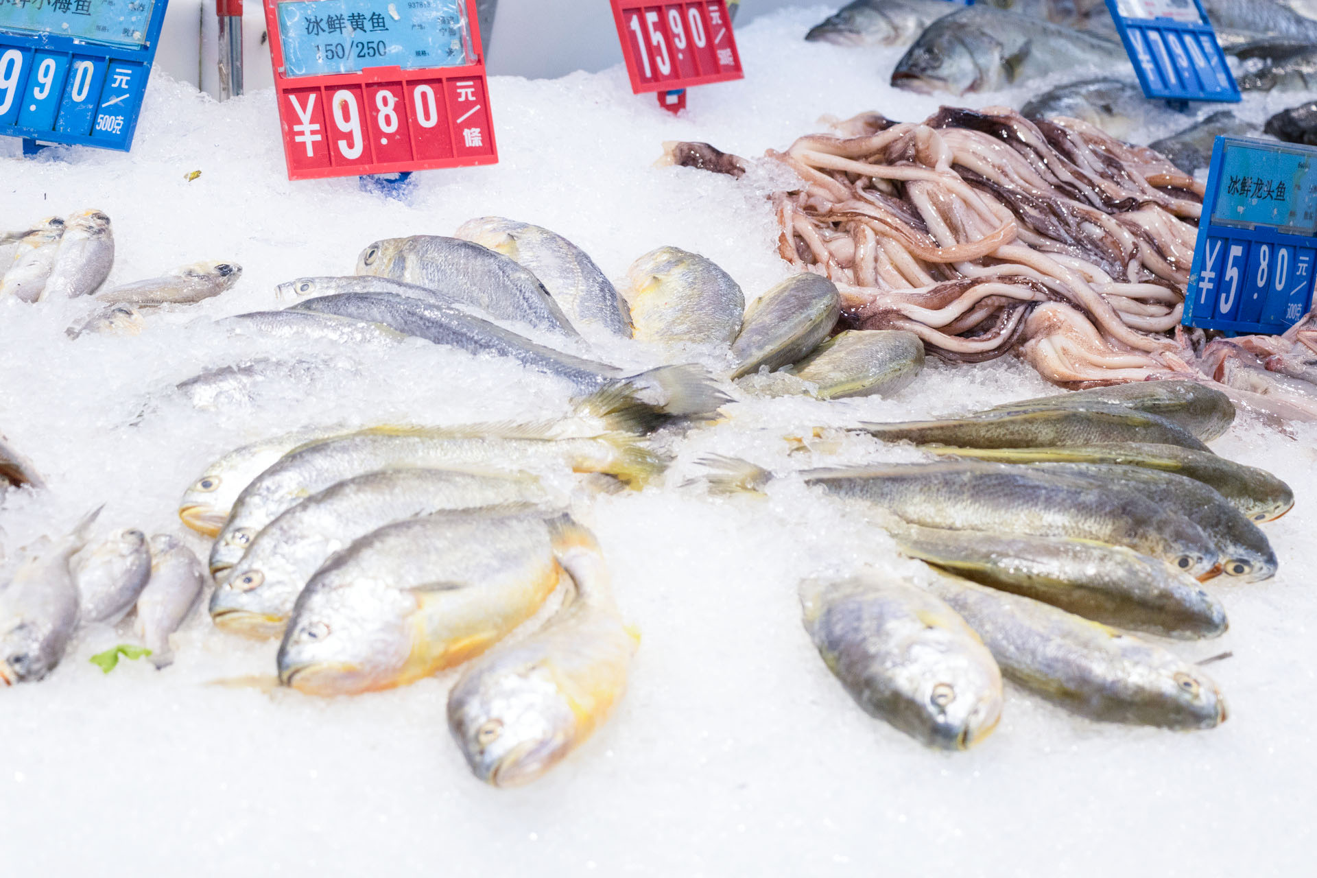 理性看待網(wǎng)紅趕海，注意水產(chǎn)品安全問(wèn)題！