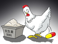 食品抗生素層出不窮，如何檢測？